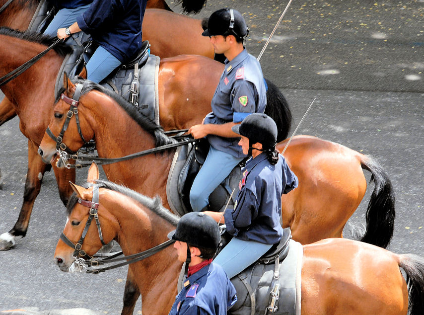 Xilocopa e ancora polizia a cavallo